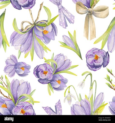 Watercolor Hand Drawn Seamless Pattern With Spring Flowers Crocus