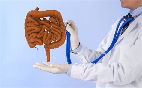 Intestino Pigro Gli Alimenti Consigliati E Le Buone Abitudini Per