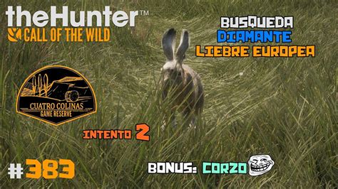 TheHunter Call Of The Wild 383 EN BUSCA DEL DIAMANTE DE LIEBRE