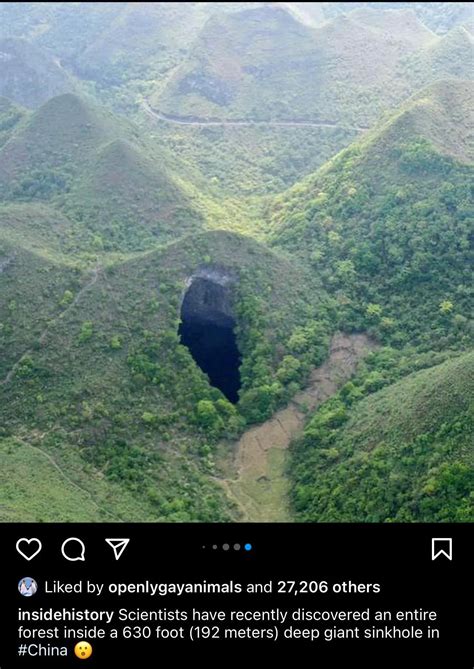 Discover more like Dontputyourdickinthat: Don't miss the forest for the ...