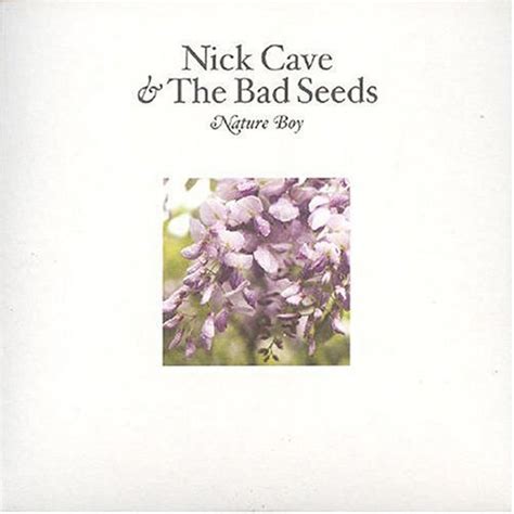 Nature Boy By Nick Cave The Bad Seeds Single Alternative Rock