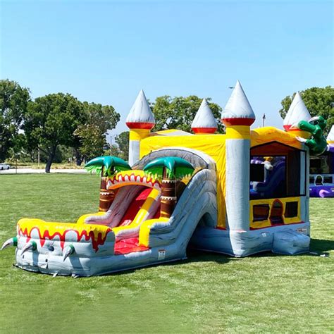 Dry Bounce House And Slide Combos Wil The Photographer