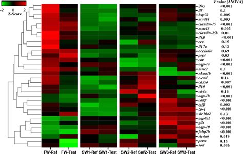 Heatmap Showing The Hierarchical Clustering Of Differentially Expressed Download Scientific