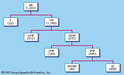 Austronesian languages - Classification, Prehistory, Diversity | Britannica