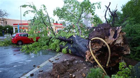 Unwetter Stamm Von Kastanie Verfehlt Auto In G Ttingen Knapp