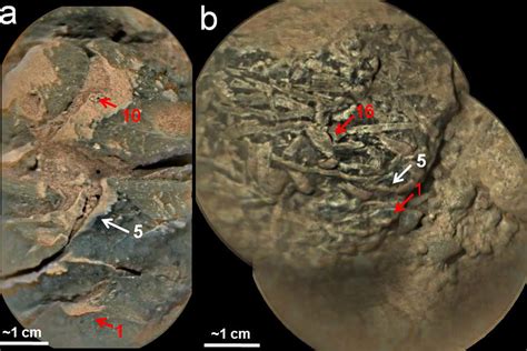 First Direct Evidence Of Ancient Marss Oxygen Rich Atmosphere New