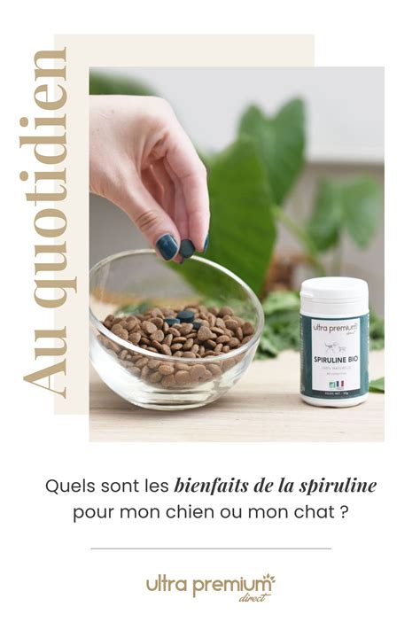 Quels Sont Les Bienfaits De La Spiruline Pour Mon Chien Ou Mon Chat