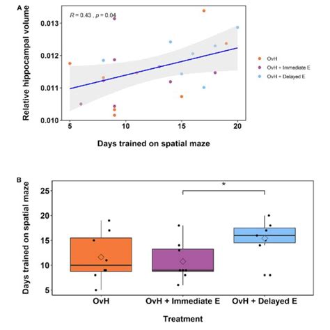 Linear Mixed Effect Model Results Predicting Relative Motor Volumes