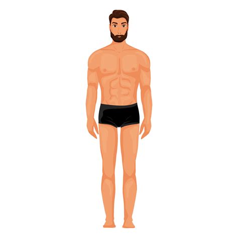 Man Nude Body Full Height 21621040 Vector Art At Vecteezy