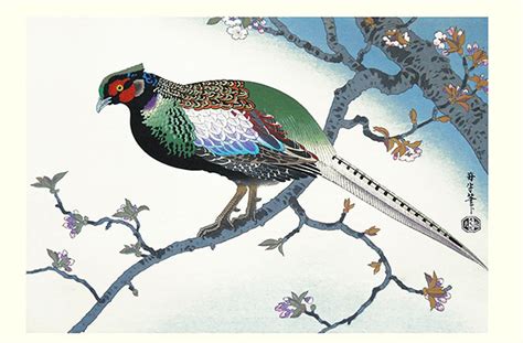 Cherry And Green Pheasant Japanese Art Print By Benji Asad Flickr