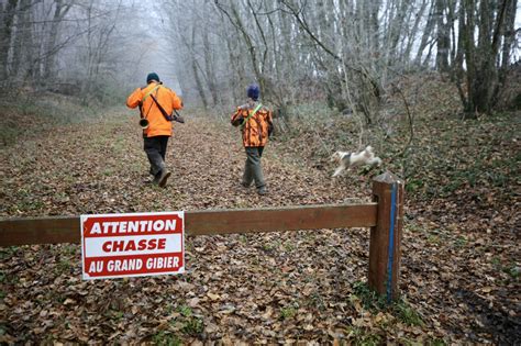 Essonne la chasse débute en forêt de Sénart des battues aux