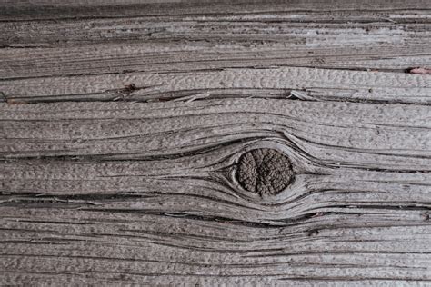 Grey Wood Texture Photos, Download The BEST Free Grey Wood Texture ...