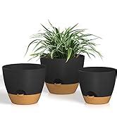 Amazon Zmtech Cm Plant Pots With Watering Lip Self Watering