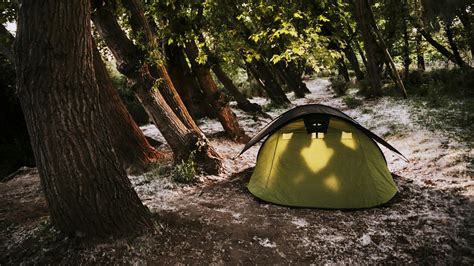 Sex Im Wald Tipps F R Ihr Outdoor Abenteuer