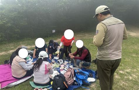 국립공원 내 여름철 성수기 불법행위 단속‘안전사고 예방한다