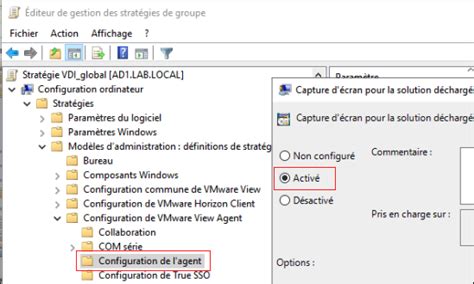 Activer la fonctionnalité de capture d écran VDI Hub