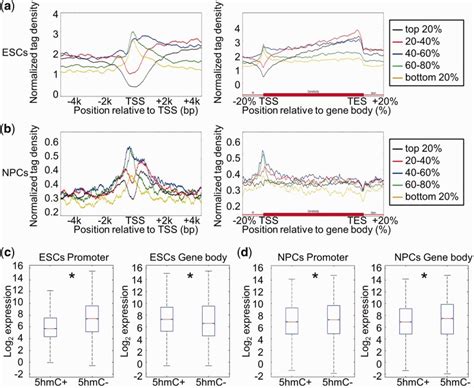 Correlation Between Dna Hydroxymethylation And Gene Expression In Escs