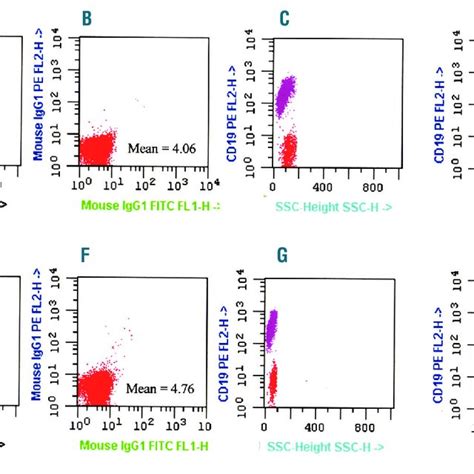 Characteristics Of Bcl 2 And Bax Expressions A E Forward And Side Download Scientific