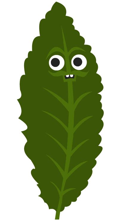 Green Leaf Cartoon GIFs - Find & Share on GIPHY