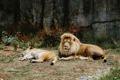 Where To See Wildlife In San Francisco