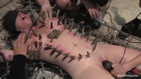 Kylie Ireland Bdsm Porn Videos Free Sex Movies On Got Porn