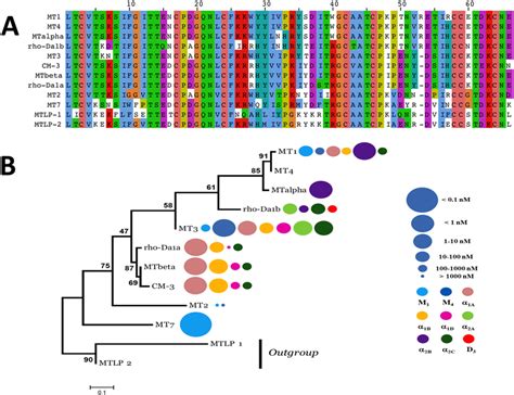 Sequence Alignment And Phylogenetic Tree Of Aminergic Toxins A