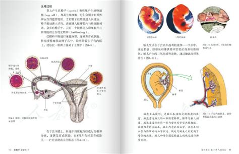 2020七年级下册生物电子书人教版 2020七年级下册生物电子课本免费版 淘小兔