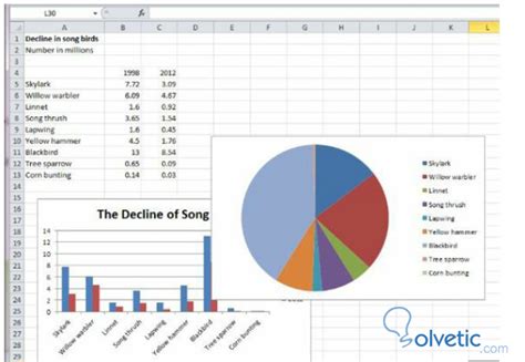 Ms Excel 2010 Gráficos De Torta Solvetic