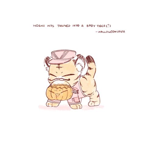 Mewiipk On Twitter Hoshi Has Turned Into A Baby Tiger Happy