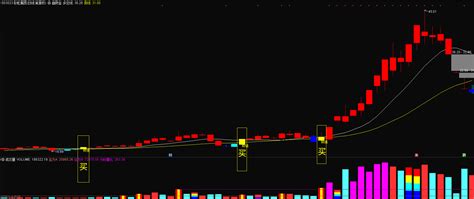 【趋势宝多空】主图指标 精准把握多空转换 通达信 源码 不加密通达信公式好公式网