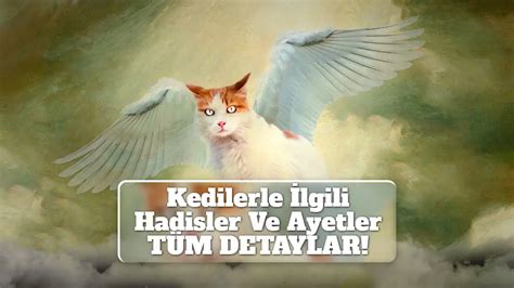 Kedilerle Lgili Hadisler Ve Ayetler T M Detaylar