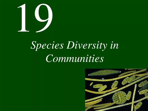 Ppt Species Diversity In Communities Powerpoint Presentation Free Download Id 9326704