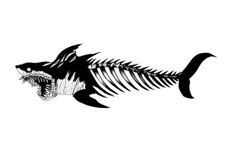 Skeleton shark – Artofit