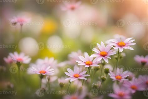 Busy lizzie flowers bokeh background 48907160 Stock Photo at Vecteezy