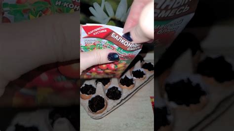 Как посадить помидоры на рассаду #семена #рассада #помидоры #творчество ...
