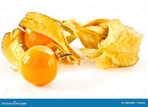 Physalis peruviana stock photo. Image of heap, color - 18842884