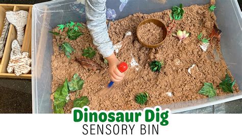 Dinosaur Dig Sensory Bin For Kids Happy Toddler Playtime