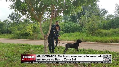 Maus Tratos Cachorro Encontrado Amarrado Em Rvore No Bairro Zona