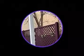 Retro Usa S American Threesome Threesome Porn XHamster
