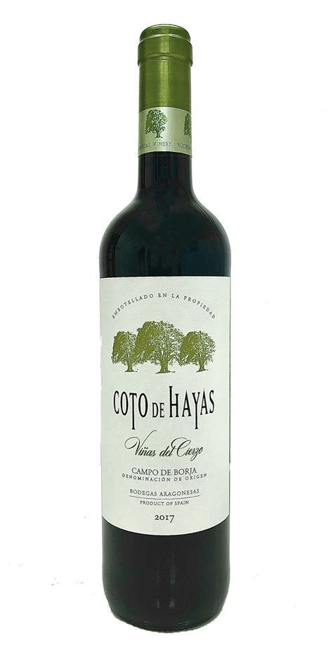 Coto de Hayas Viñas del Cierzo 2017 | vinoseleccion