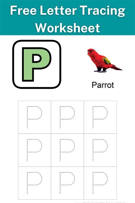 Alphabet Tracing - Letter P Worksheets 