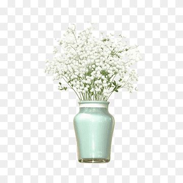 Babys Breath Png Images Pngwing