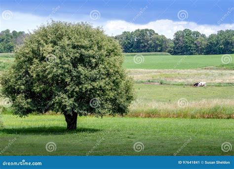 Beautiful Rural Landscape In Michigan Stock Image Image Of Country