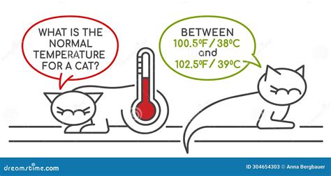 The Normal Temperature For A Cat Medical Infographic Stock