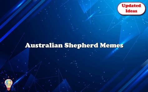 Australian Shepherd Memes - Updated Ideas