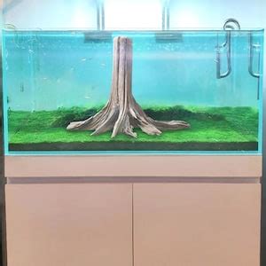 Driftwood Bonsai Tree Stump Aquarium Aquascape Wood Fish Tank