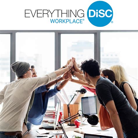 Everything Disc Assessment Workplace Botree Inc