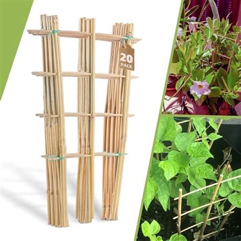 Amazon Pack Bamboo Trellis For Climbing Plants Natural