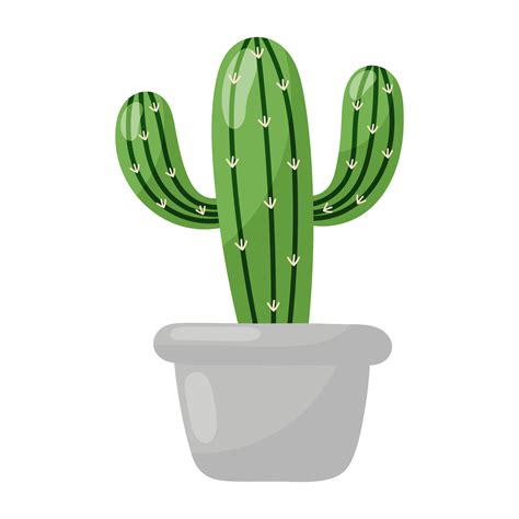 Cactus Png