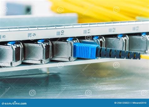 Optical Fiber Patch Cord Cables Connected To Cart Of Switch Stock Image